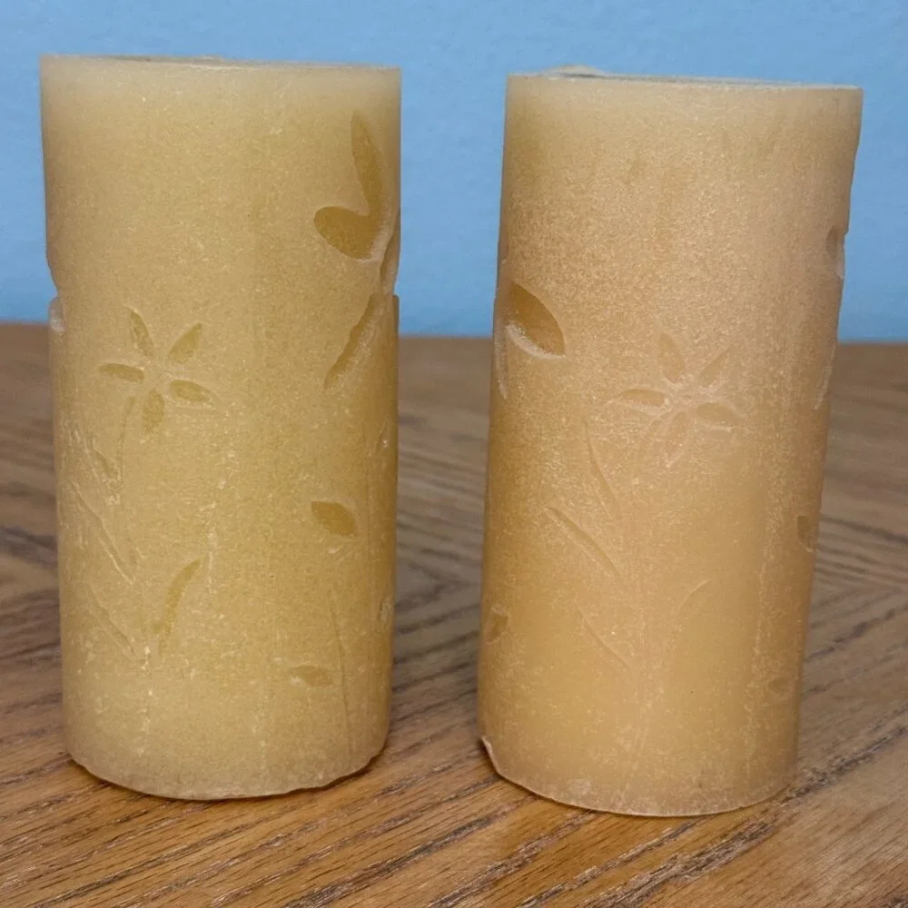 Set of 2 Pier 1 Imports Dragonfly Floral Etched Decorative Pillar Candles
